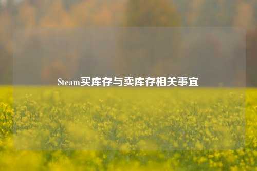 Steam买库存与卖库存相关事宜