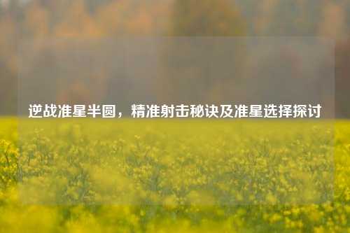 逆战准星半圆,精准射击秘诀及准星选择探讨