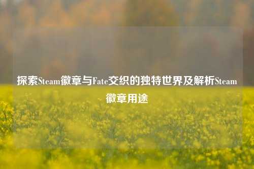 探索Steam徽章与Fate交织的独特世界及解析Steam徽章用途