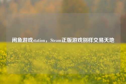 闲鱼游戏station,Steam正版游戏别样交易天地