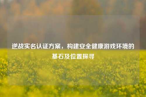 逆战实名认证方案，构建安全健康游戏环境的基石及位置探寻