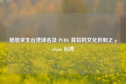 绝地求生台湾译名及 PUBG 背后的文化折射之 pubgm 台湾