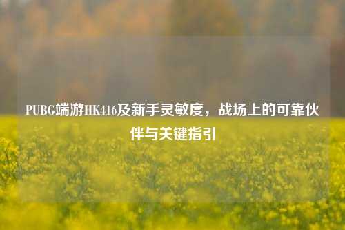 PUBG端游HK416及新手灵敏度,战场上的可靠伙伴与关键指引