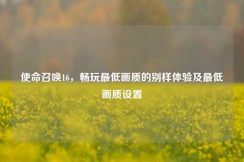 使命召唤16，畅玩更低画质的别样体验及更低画质设置