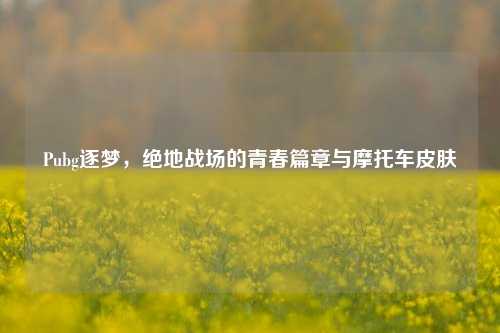详细阅读:Pubg逐梦,绝地战场的青春篇章与摩托车皮肤 Pubg逐梦,绝地战场的青春篇章与摩托车皮肤
