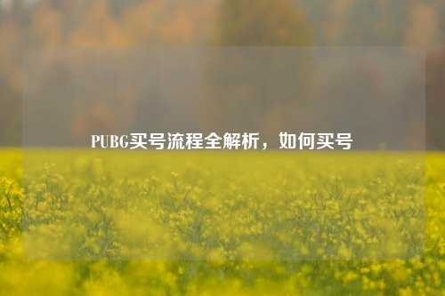 PUBG买号流程全解析,如何买号