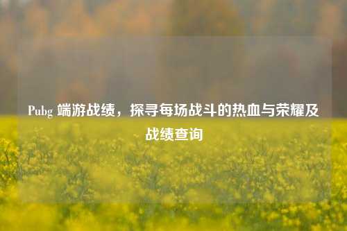 Pubg 端游战绩，探寻每场战斗的热血与荣耀及战绩查询