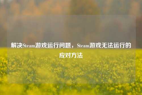 解决Steam游戏运行问题，Steam游戏无法运行的应对 *** 
