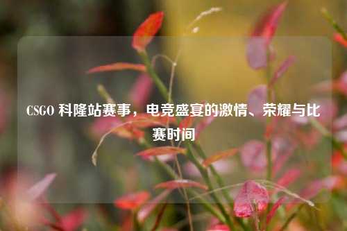 CSGO 科隆站赛事，电竞盛宴的 *** 、荣耀与比赛时间