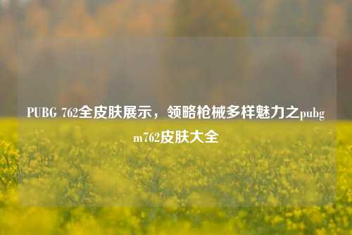 PUBG 762全皮肤展示，领略枪械多样魅力之pubgm762皮肤大全