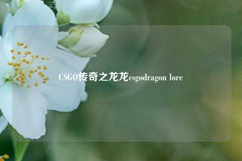 CSGO传奇之龙龙csgodragon lore