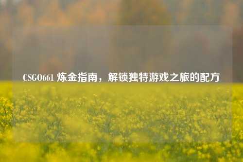 CSGO661 炼金指南，解锁独特游戏之旅的配方