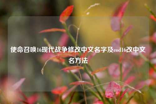 使命召唤16现代战争修改中文名字及cod16改中文名 *** 