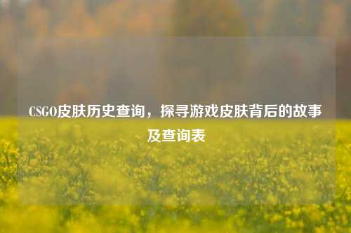 CSGO皮肤历史查询，探寻游戏皮肤背后的故事及查询表