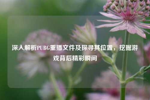 深入解析PUBG重播文件及探寻其位置，挖掘游戏背后精彩瞬间