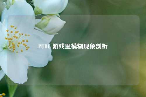PUBG 游戏里模糊现象剖析