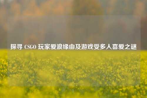 探寻 CSGO 玩家爱浪缘由及游戏受多人喜爱之谜