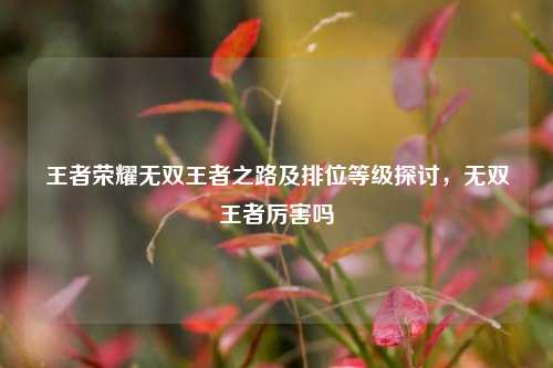王者荣耀无双王者之路及排位等级探讨，无双王者厉害吗