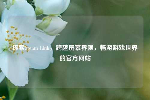 探索Steam Link，跨越屏幕界限，畅游游戏世界的官方网站