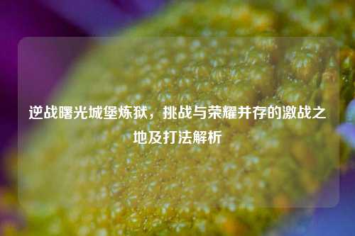 逆战曙光城堡炼狱，挑战与荣耀并存的激战之地及打法解析
