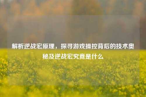 解析逆战宏原理，探寻游戏操控背后的技术奥秘及逆战宏究竟是什么