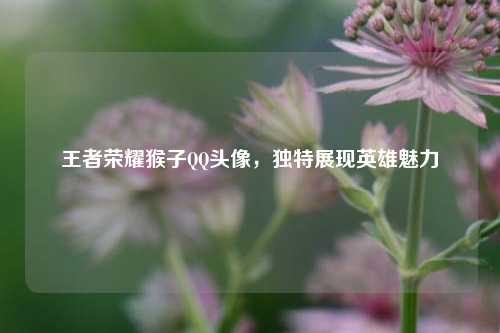 王者荣耀猴子 *** 头像，独特展现英雄魅力