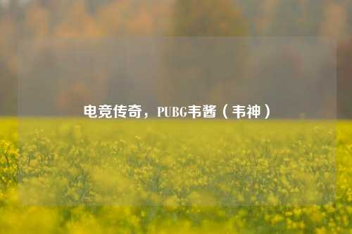 电竞传奇，PUBG韦酱（韦神）