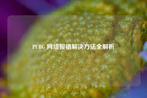 PUBG  *** 报错解决 *** 全解析