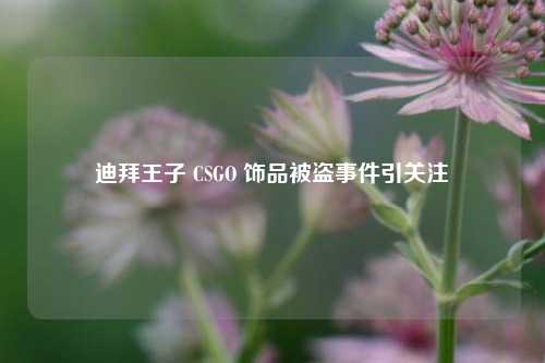 迪拜王子 CSGO 饰品被盗事件引关注
