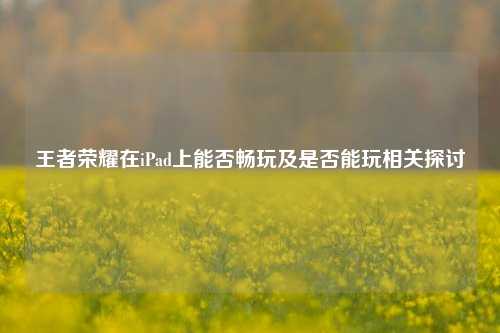 王者荣耀在iPad上能否畅玩及是否能玩相关探讨
