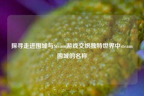 探寻走进围城与Steam游戏交织独特世界中steam围城的名称