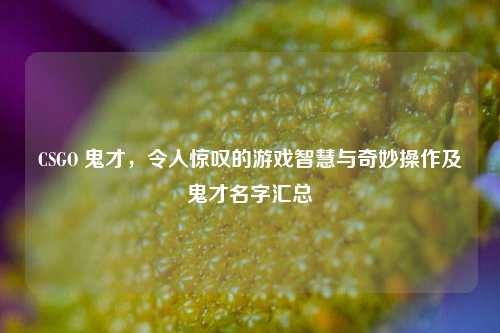 CSGO 鬼才，令人惊叹的游戏智慧与奇妙操作及鬼才名字汇总