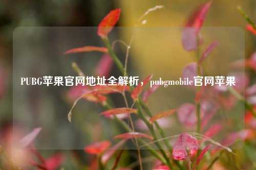 PUBG苹果官网地址全解析，pubgmobile官网苹果