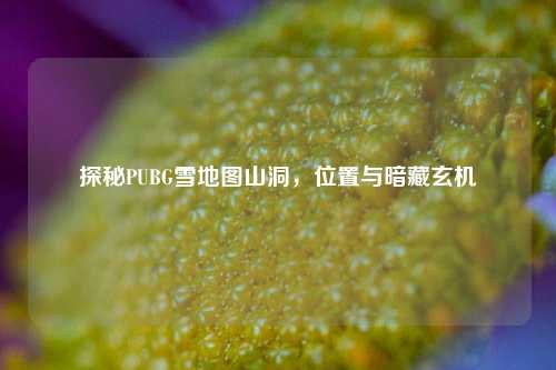 探秘PUBG雪地图山洞，位置与暗藏玄机
