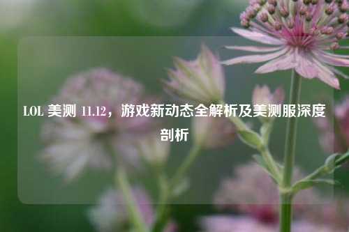 LOL 美测 11.12，游戏新动态全解析及美测服深度剖析