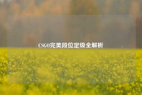 CSGO完美段位定级全解析
