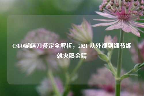 CSGO蝴蝶刀鉴定全解析，2021 从外观到细节练就火眼金睛