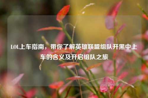 LOL上车指南，带你了解英雄联盟组队开黑中上车的含义及开启组队之旅