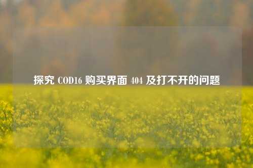 探究 COD16 购买界面 404 及打不开的问题