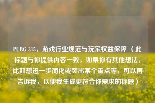 PUBG 315，游戏行业规范与玩家权益保障 （此标题与你提供内容一致，如果你有其他想法，比如想进一步简化或突出某个重点等，可以再告诉我，以便我生成更符合你需求的标题）