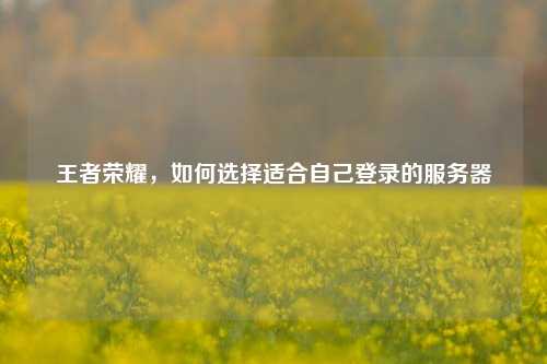 王者荣耀，如何选择适合自己登录的服务器