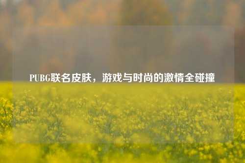 PUBG联名皮肤，游戏与时尚的***全碰撞