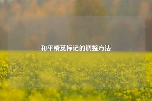和平精英标记的调整 *** 