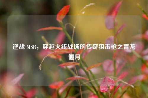逆战 MSR，穿越火线战场的传奇狙击枪之青龙偃月