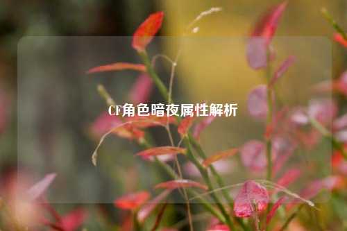 CF角色暗夜属性解析