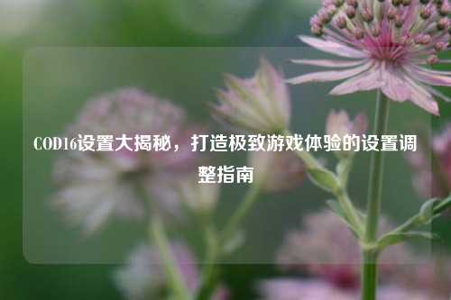 COD16设置大揭秘，打造极致游戏体验的设置调整指南