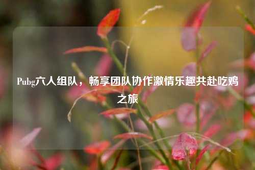 Pubg六人组队，畅享团队协作***乐趣共赴吃鸡之旅
