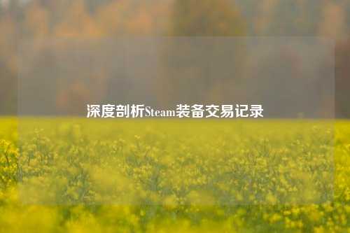 深度剖析Steam装备交易记录