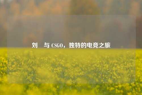 刘颕与 CSGO，独特的电竞之旅