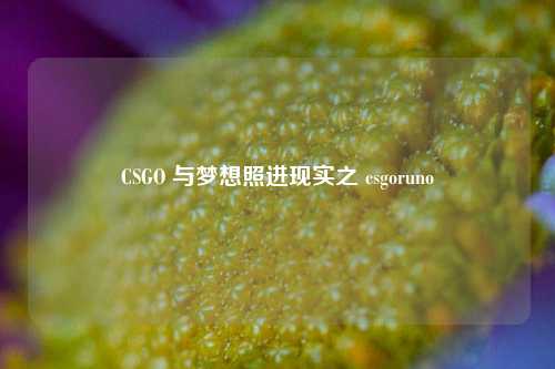 CSGO 与梦想照进现实之 csgoruno